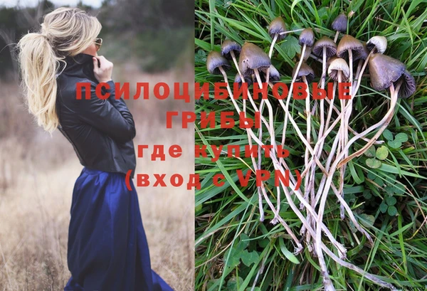 ешки Россошь