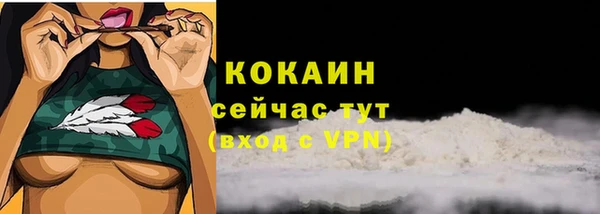 дживик Ростов