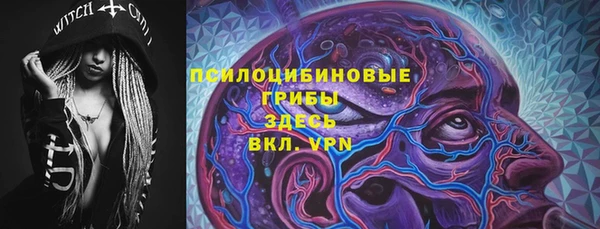 гидропоника Абаза