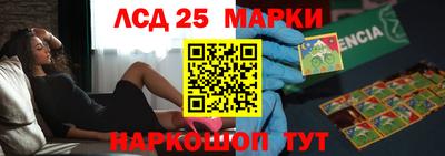 прущие грибы Будённовск