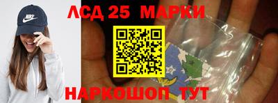 прущие грибы Будённовск