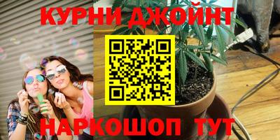 прущие грибы Будённовск