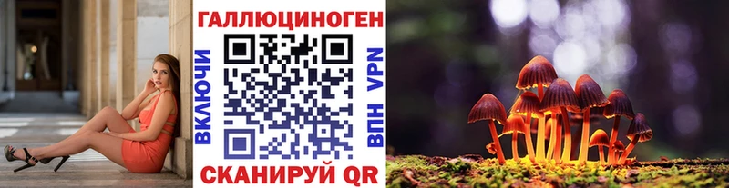 Галлюциногенные грибы Cubensis  Грязи 