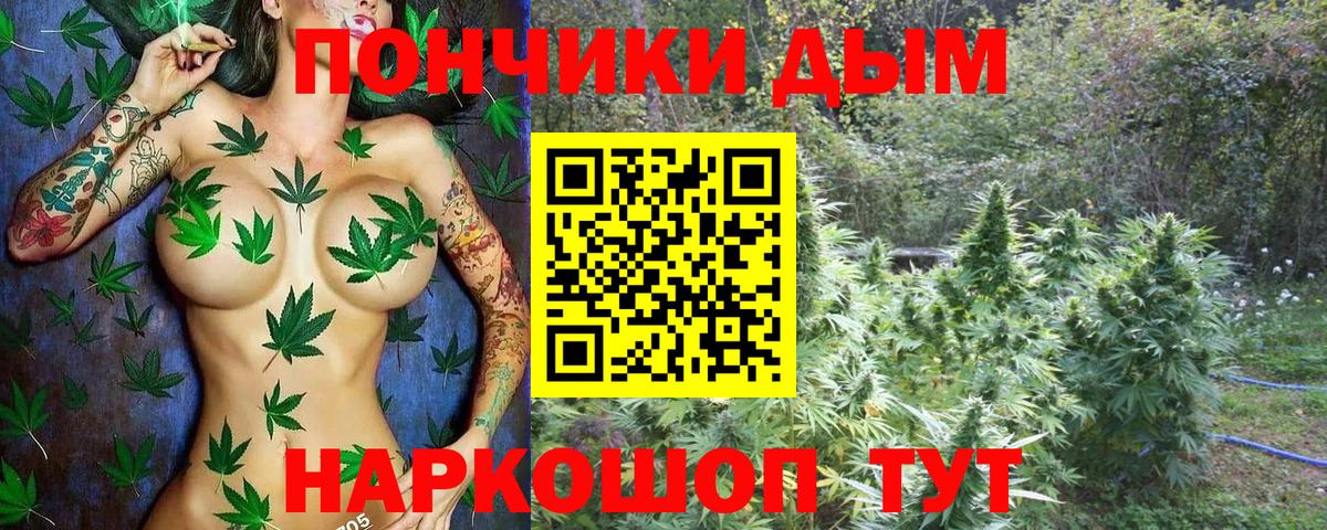 Бошки Шишки марихуана Грязи